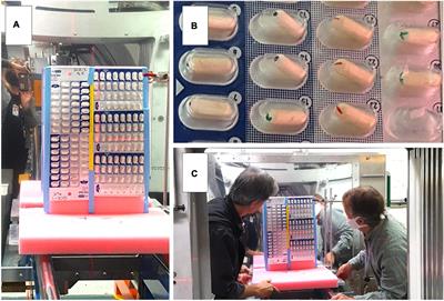 Shelf Life and Simulated Gastrointestinal Tract Survival of Selected Commercial Probiotics During a Simulated Round-Trip Journey to Mars